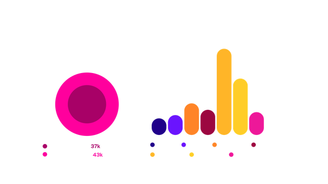 Smartocto data tool